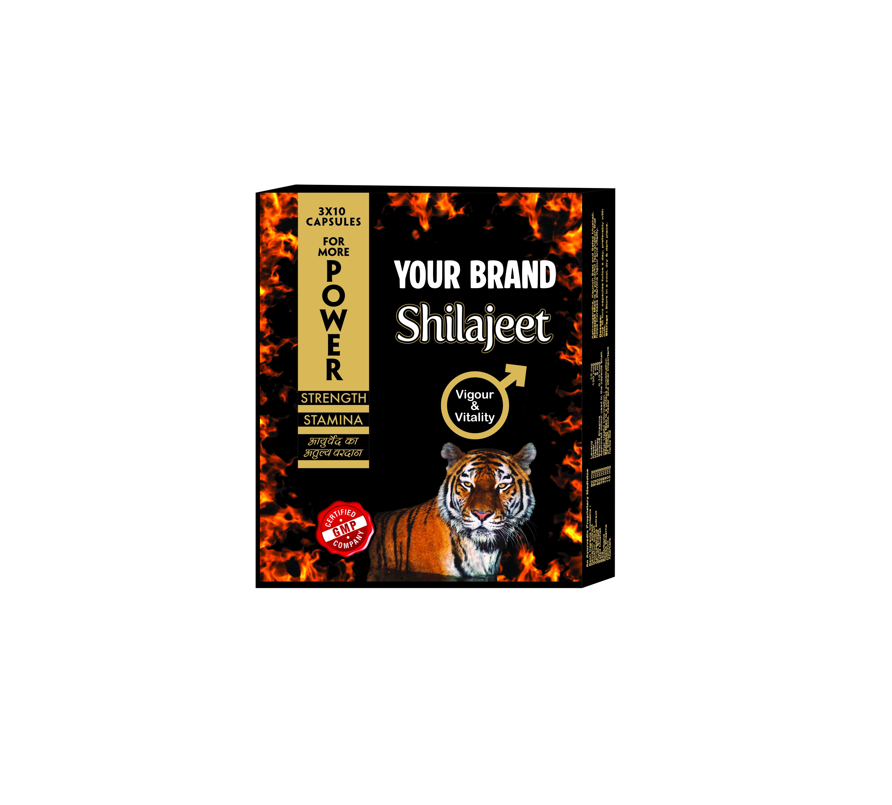 Shilajit Capsule Manufacturer in India